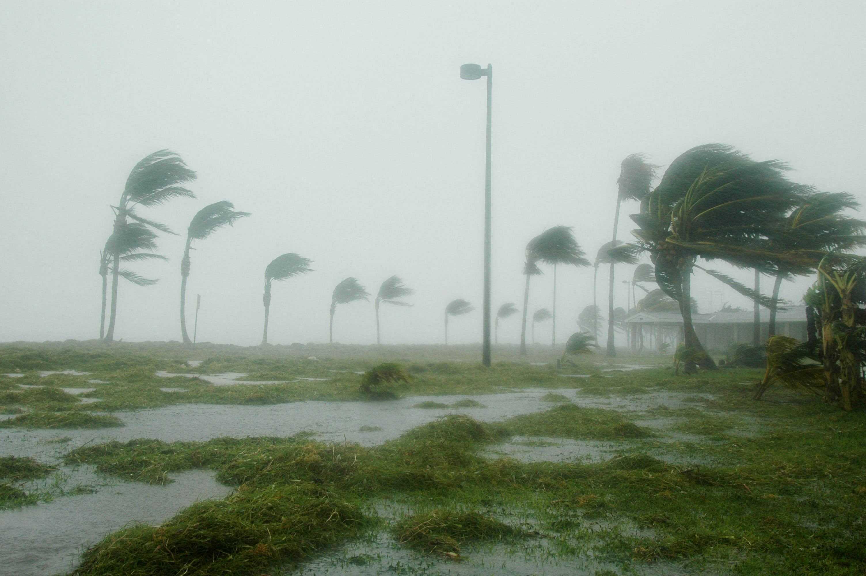 natural disaster hurricane